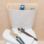 Toilet Repair in Brazoria County, Texas