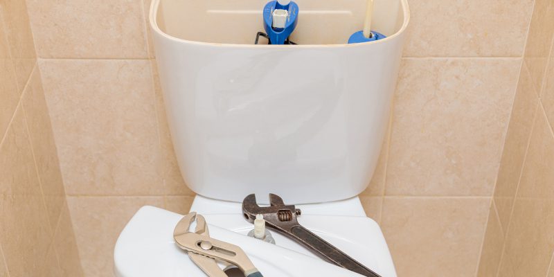 Toilet Repair in Brazoria County, Texas